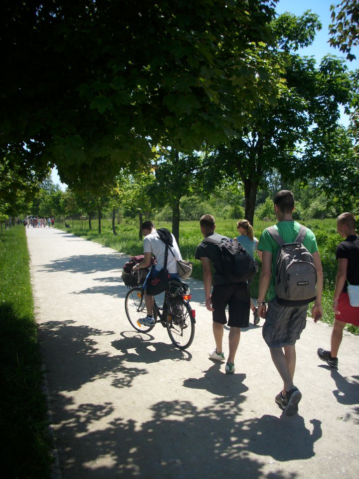 Pohod ob žici - maj 2012 - foto povečava