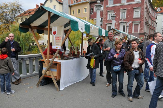 Martinovanje-v-Ljubljani-5-11-2011 - foto