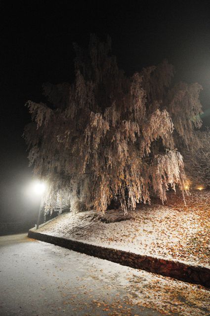 22-11-2011-Gostisce-Dolinsek - foto povečava