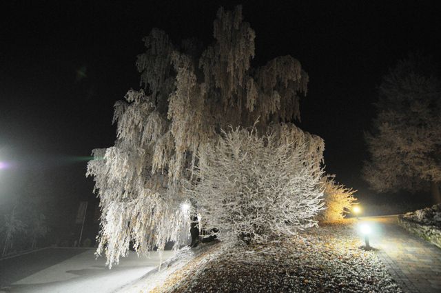 22-11-2011-Gostisce-Dolinsek - foto povečava