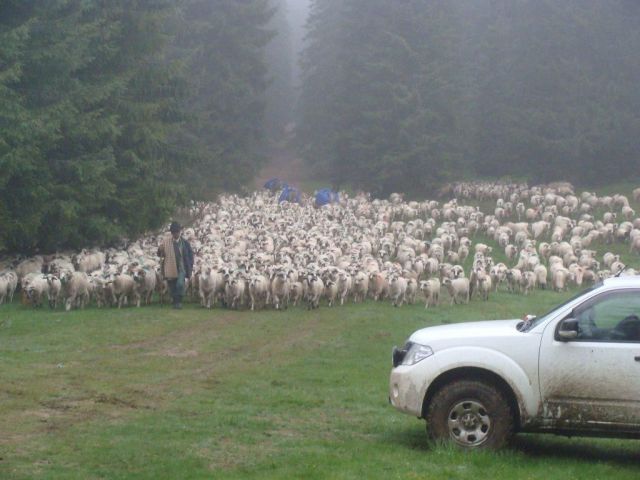 Transilvanija - foto