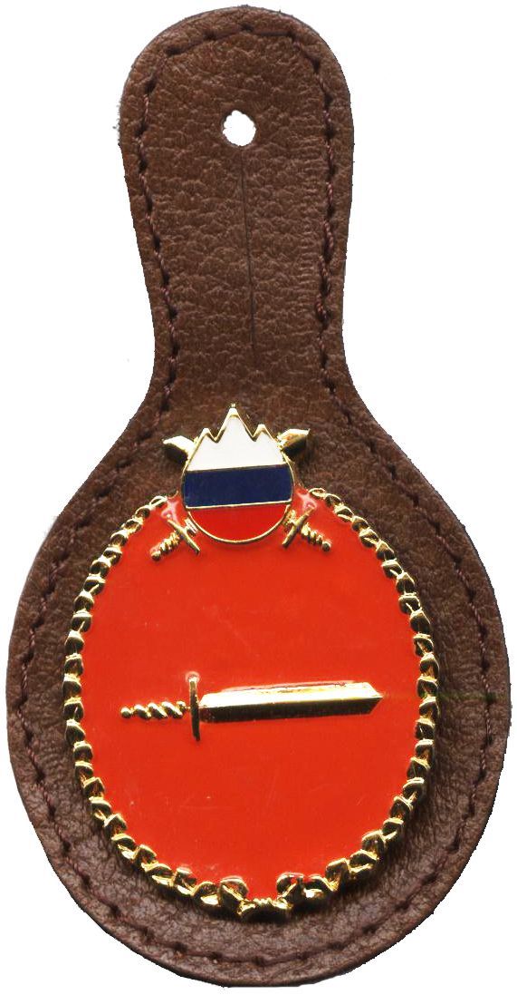 POVELJNIK ODDELKA SV (PRVA IZVEDBA)