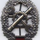 Technician hat badge