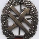 Operative information corps cap badge
