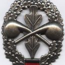 NBC defense corps cap badge