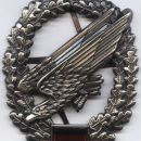 Paratroopers cap badge