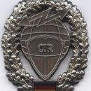 Cyber Warfare cap badge