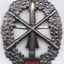 Army air defense cap badge