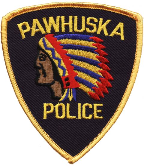 USA POLICE INSIGNIA 1 - foto