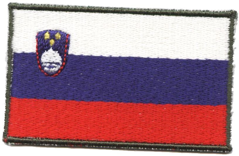 PRIPADNIKI SLOVENSKE VOJSKE V TUJINI 1