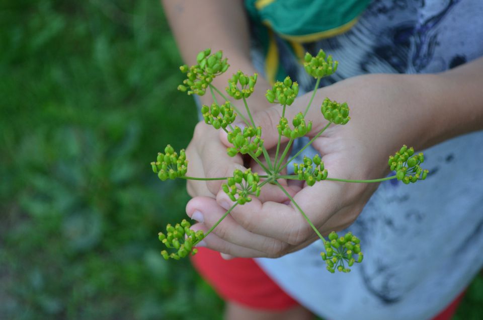 Ribno 2012 - IV. izmena - foto povečava