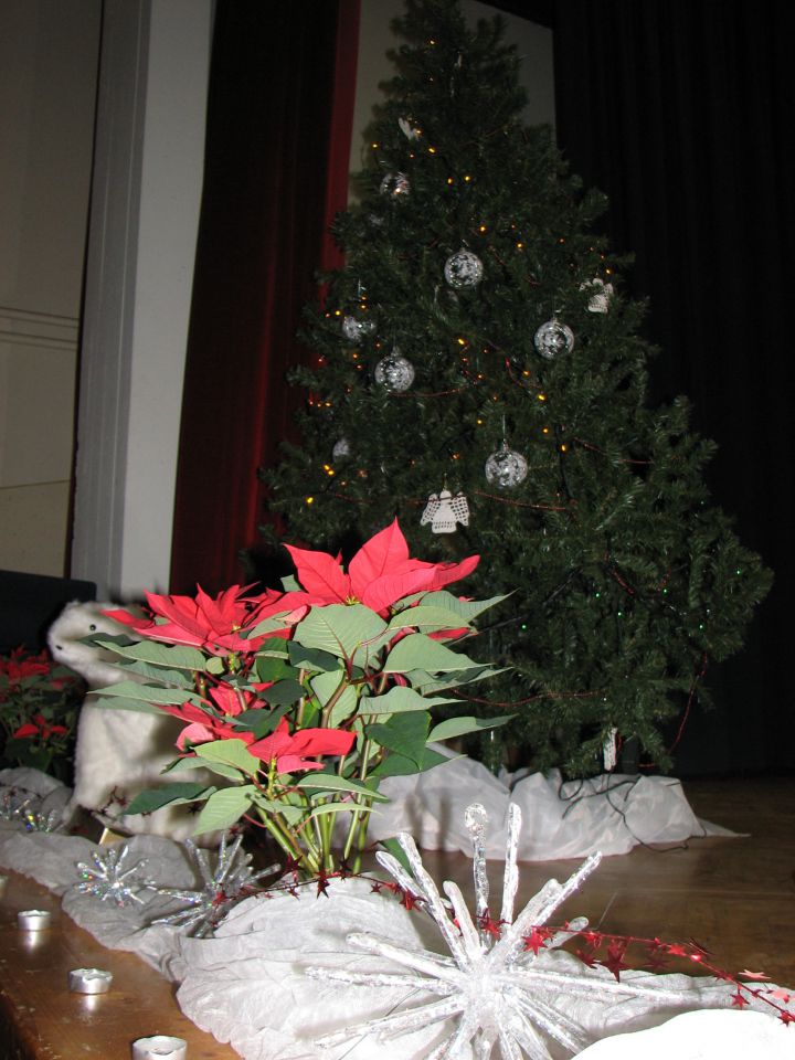 Božično-novoletni koncert, Bogojina, 21-12-12 - foto povečava