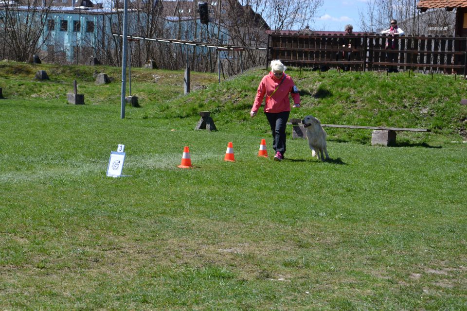 1. 4fun tekma 2013 - foto povečava