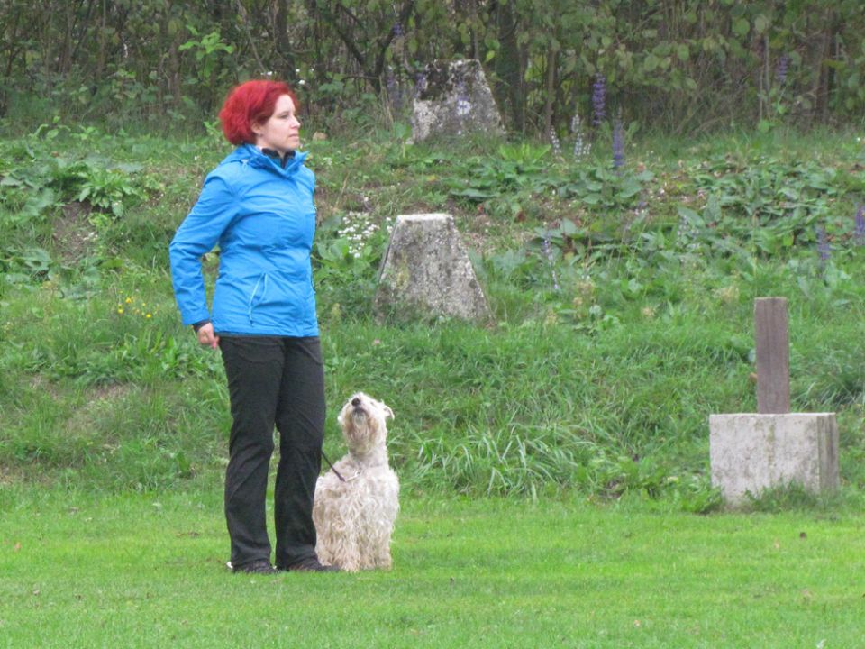 7. državna tekma - KD Duplica, okt. 2013 - foto povečava