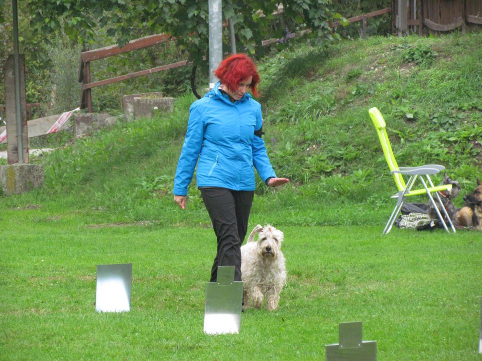 7. državna tekma - KD Duplica, okt. 2013 - foto povečava