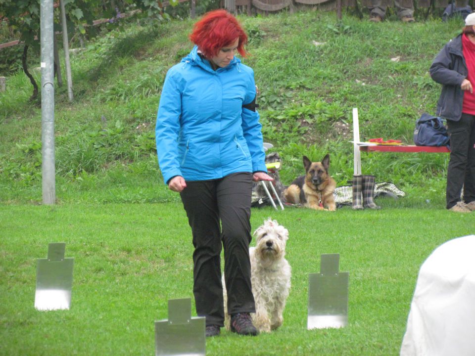 7. državna tekma - KD Duplica, okt. 2013 - foto povečava