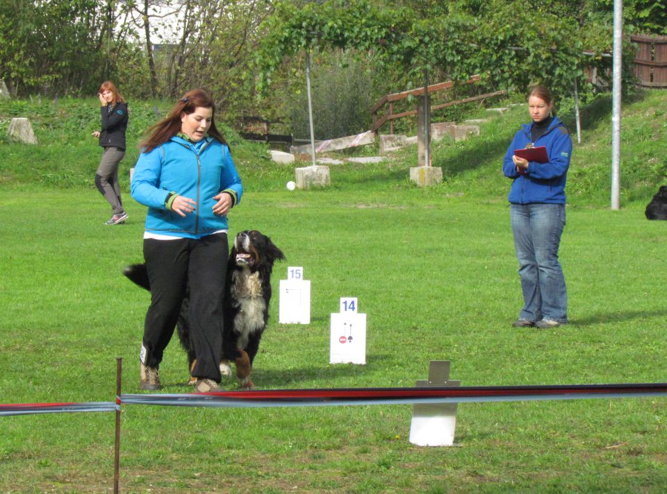 7. državna tekma - KD Duplica, okt. 2013 - foto povečava