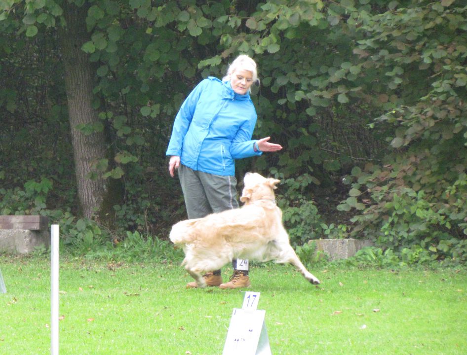 7. državna tekma - KD Duplica, okt. 2013 - foto povečava