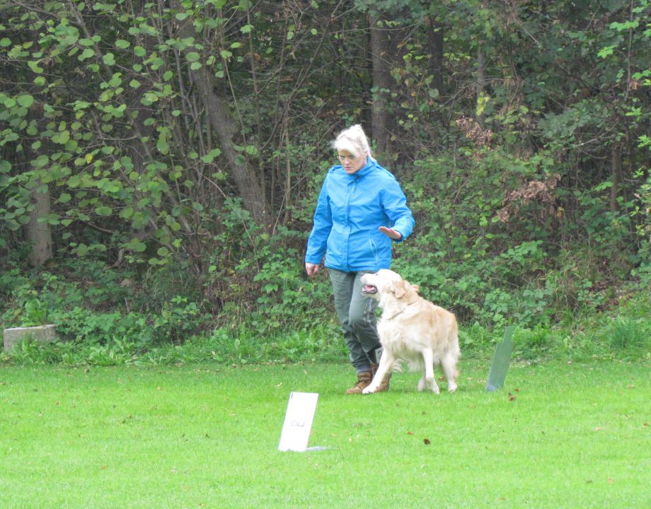7. državna tekma - KD Duplica, okt. 2013 - foto povečava