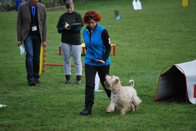 8. državna tekma - KD Kamnik, okt. 2013 - foto