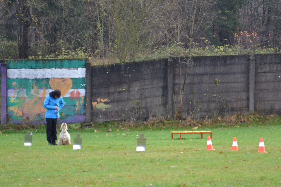 RO IZPITI KD KAMNIK, NOV.2013 - foto povečava