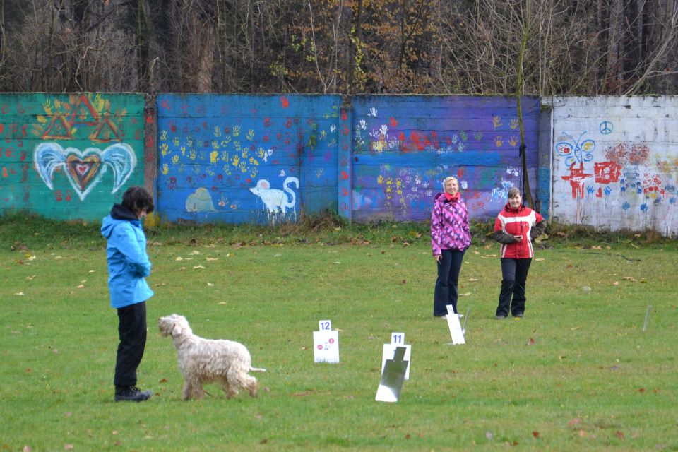 RO IZPITI KD KAMNIK, NOV.2013 - foto povečava