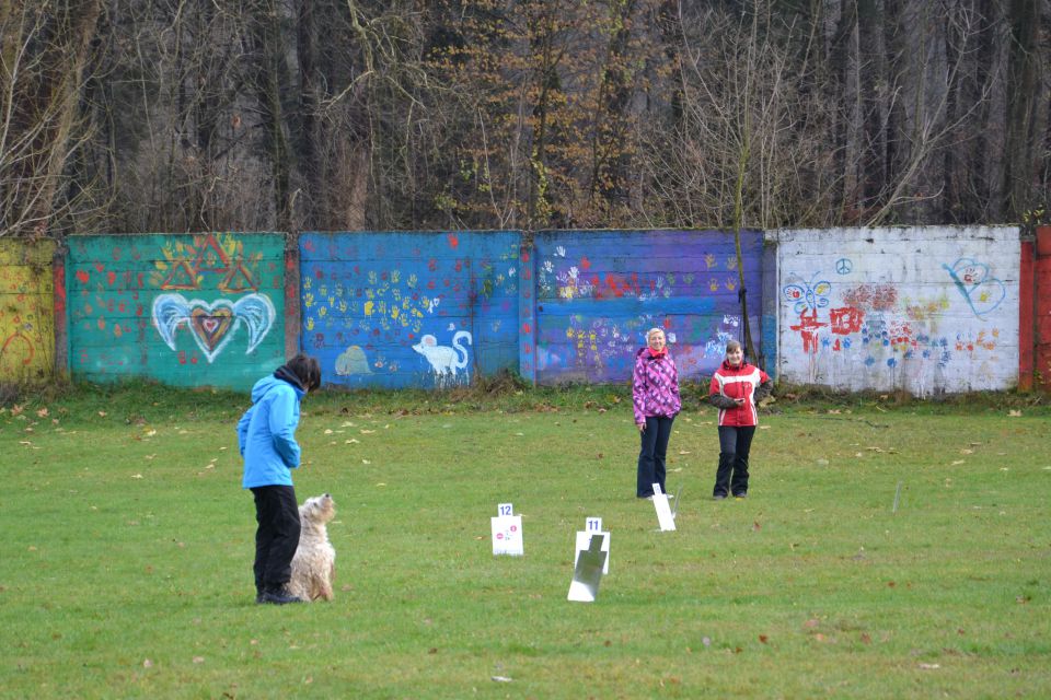 RO IZPITI KD KAMNIK, NOV.2013 - foto povečava