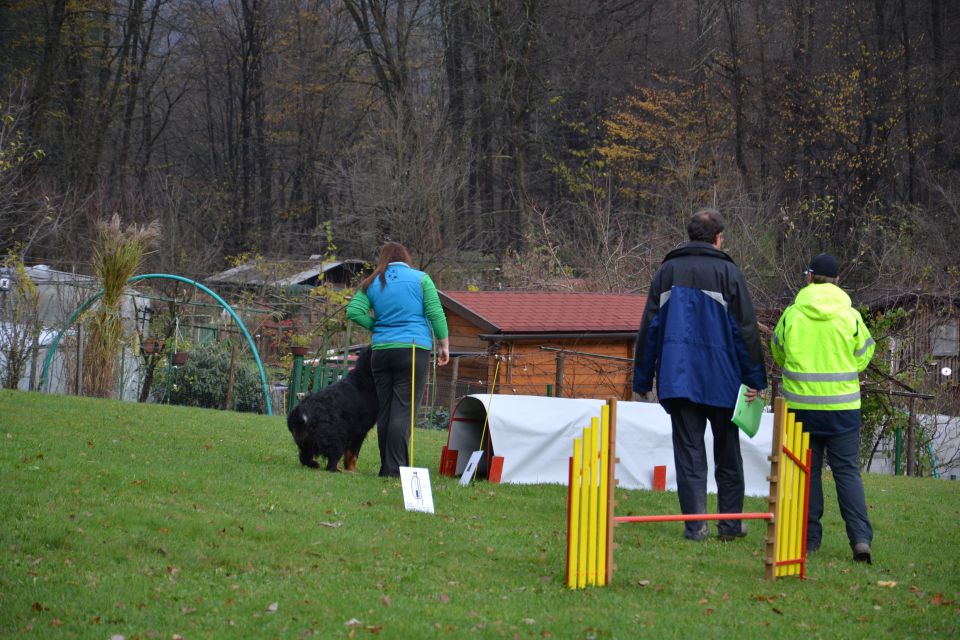 RO IZPITI KD KAMNIK, NOV.2013 - foto povečava