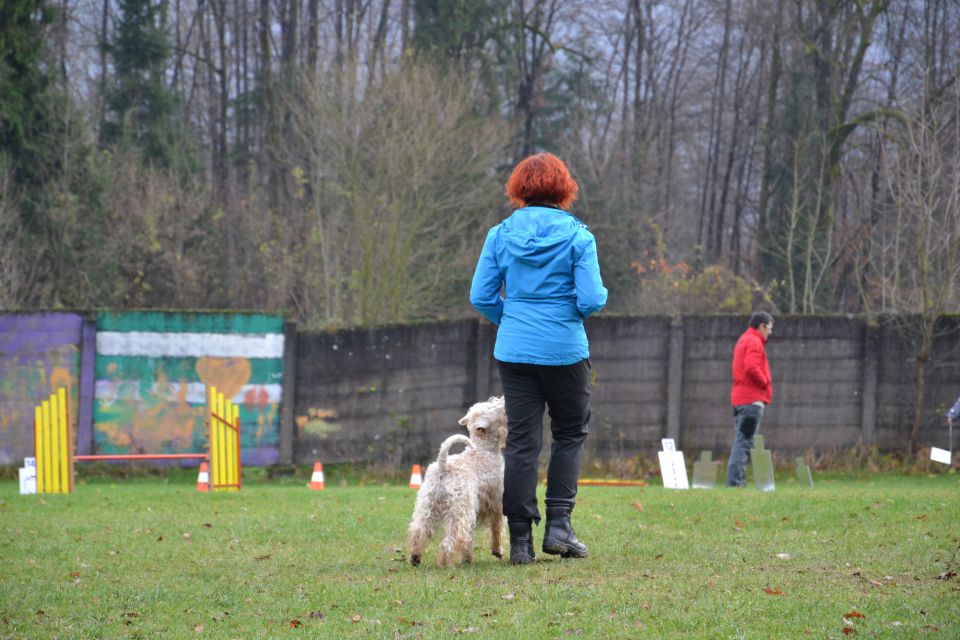 RO IZPITI KD KAMNIK, NOV.2013 - foto povečava