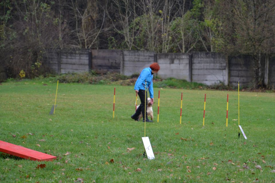 RO IZPITI KD KAMNIK, NOV.2013 - foto povečava