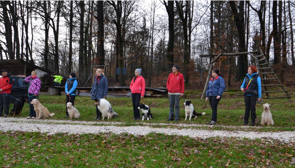 RO IZPITI KD KAMNIK, NOV.2013 - foto povečava