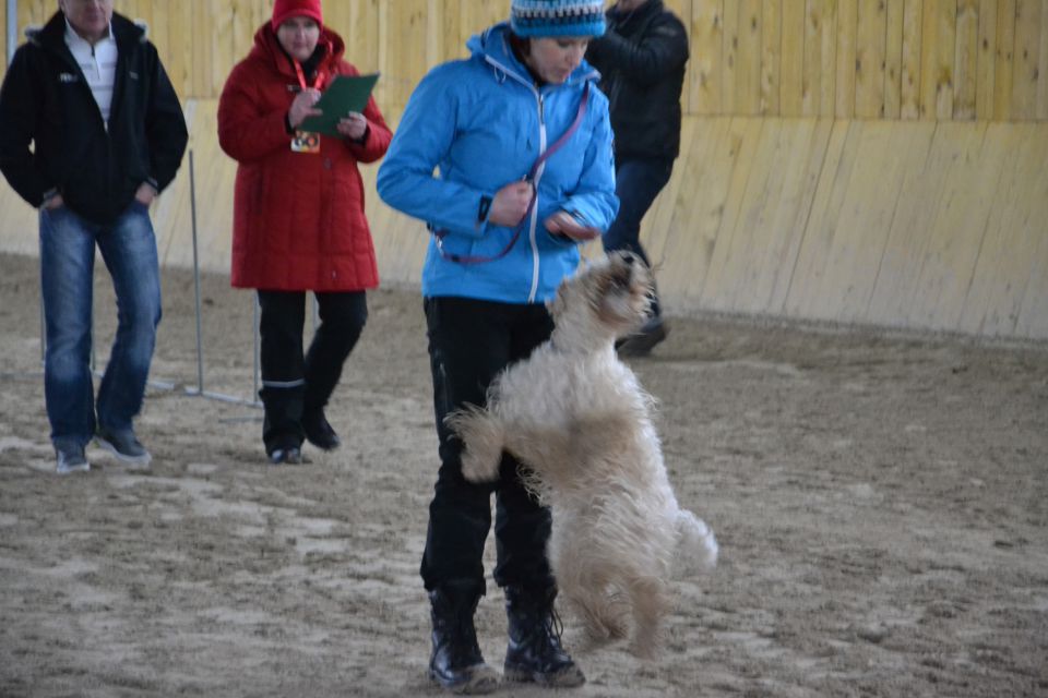 DOBRODELNA TEKMA ”RO Z NAMENOM” FEBRUAR 2014 - foto povečava