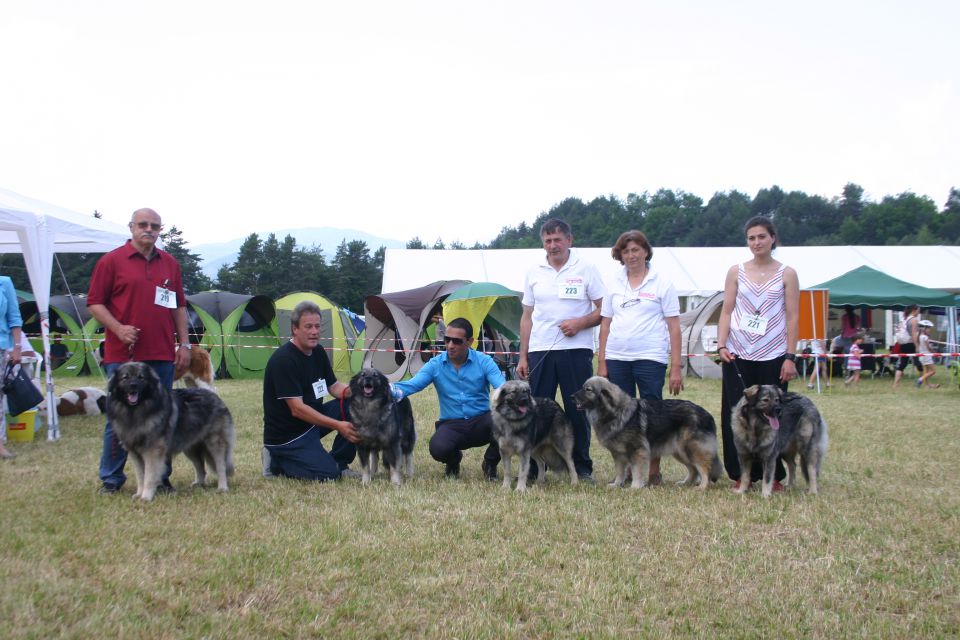 CACIB Bled, 15.-16.6.2013 - foto povečava