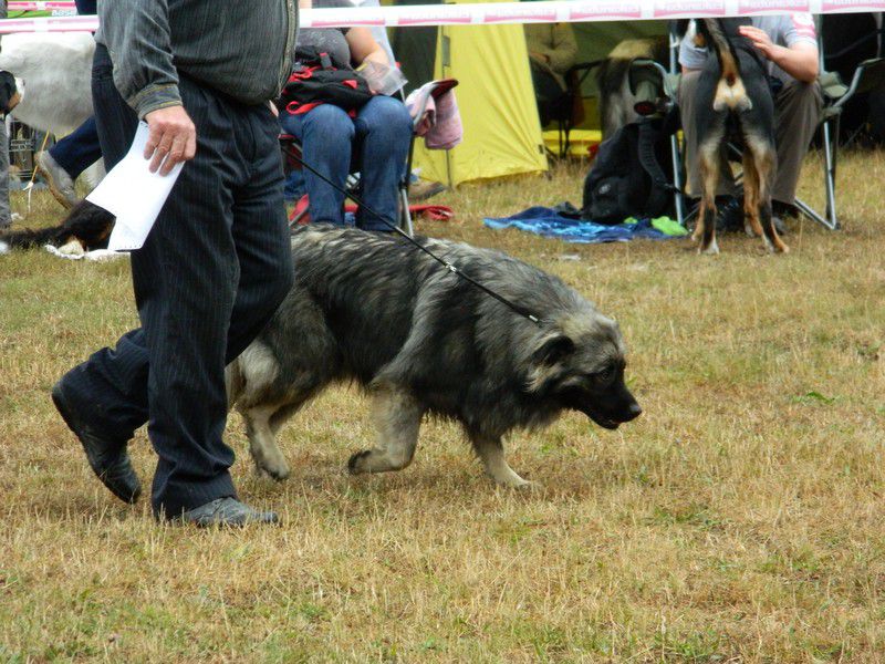 Cac trbovlje, 30.8.2013 - foto povečava