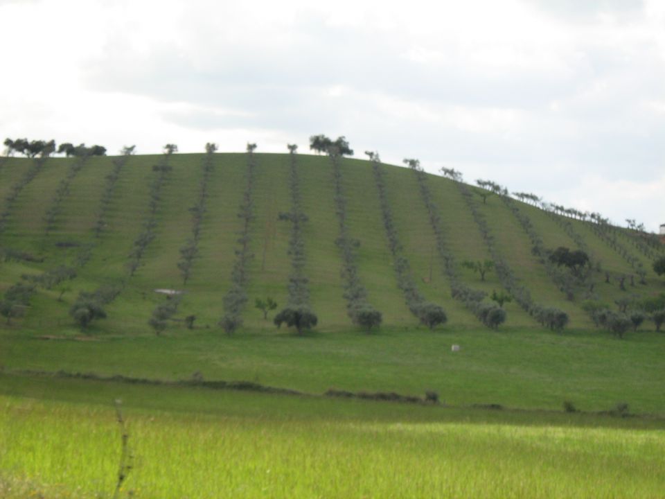 Portugal - foto povečava