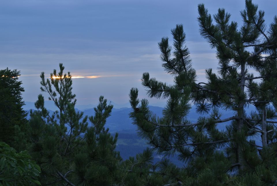 Narava - foto povečava