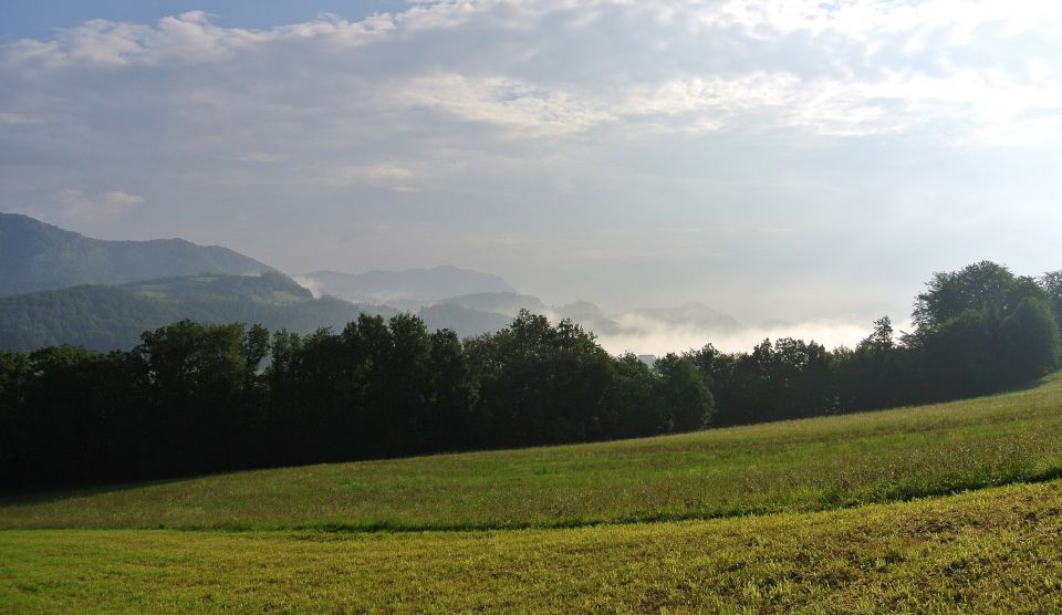 Narava - foto povečava