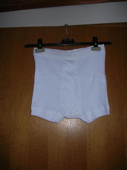 Moške spodnje hlače, gate, št. 90, M - foto