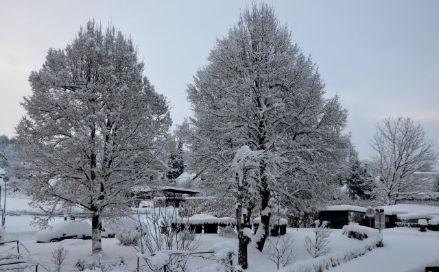 Nočni in jutranji pogled na prvi sneg - foto
