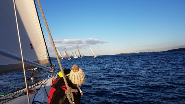 Regata Jabuka 2016 - foto