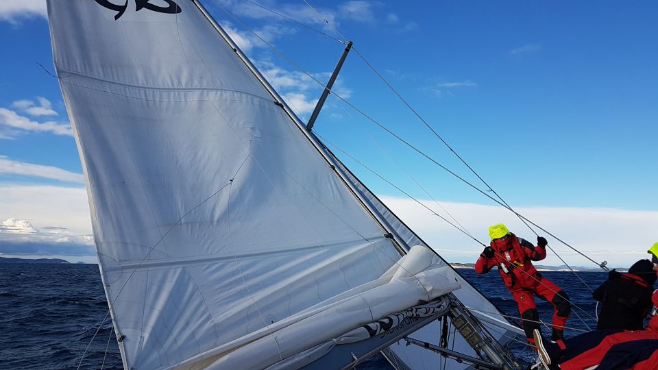 Regata Jabuka 2016 - foto povečava