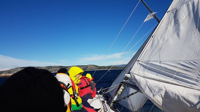 Regata Jabuka 2016 - foto