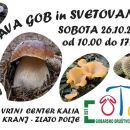 Razstava GD kranj