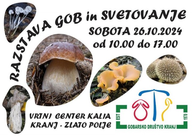 Razstava GD kranj - foto
