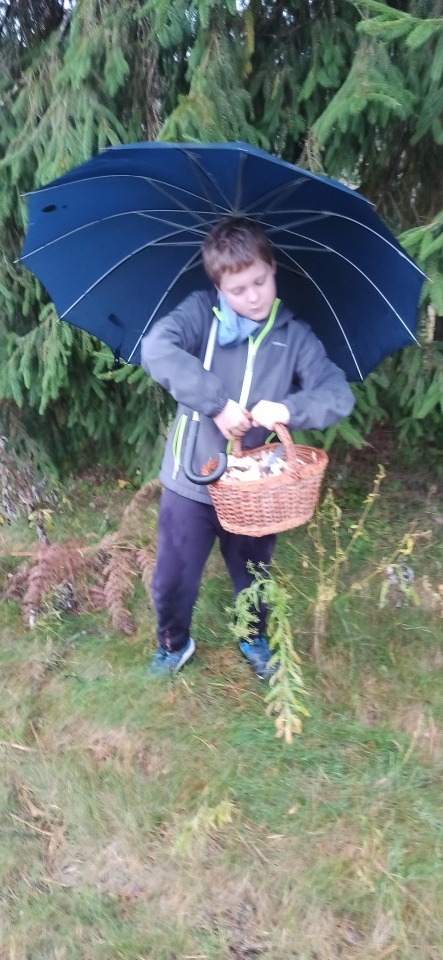 Gobani - foto povečava