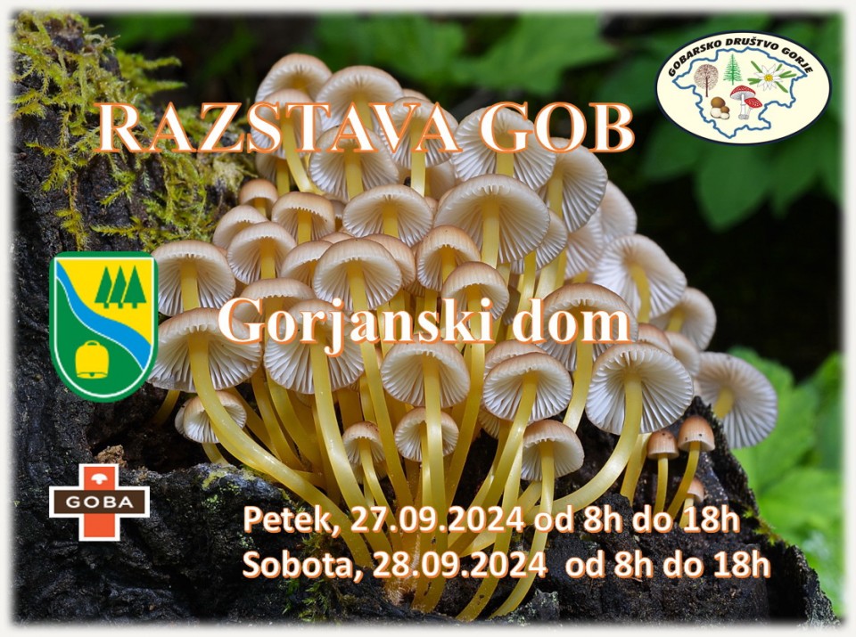 Razstava GD Gorje 2024