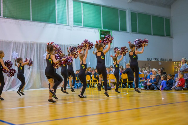 Prireditev ob Dnevu samostojnosti in enotnost - foto