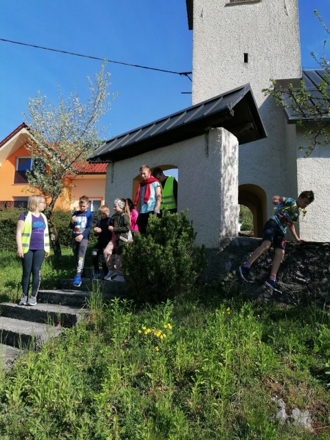 TD: Sela in Vrh - foto