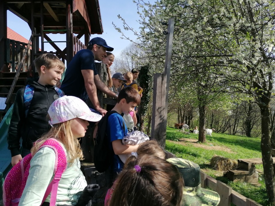 TD: Sela in Vrh - foto povečava