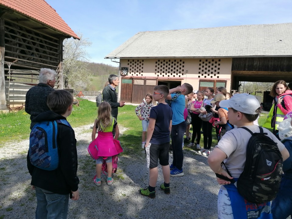 TD: Sela in Vrh - foto povečava